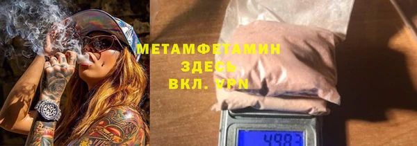 шишки Корсаков