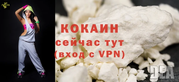 шишки Корсаков