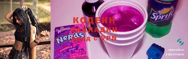 шишки Корсаков