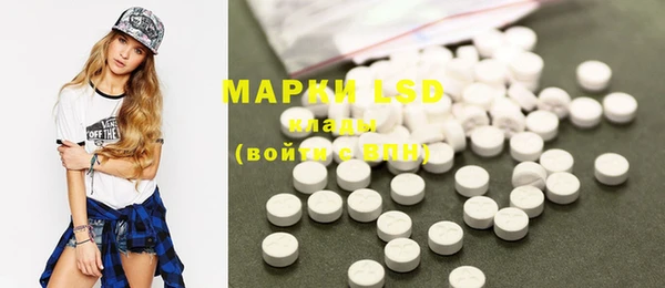 PSILOCYBIN Костерёво