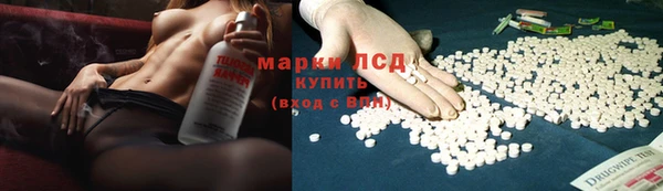 шишки Корсаков