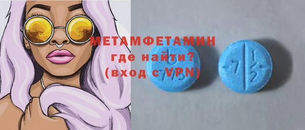 шишки Корсаков