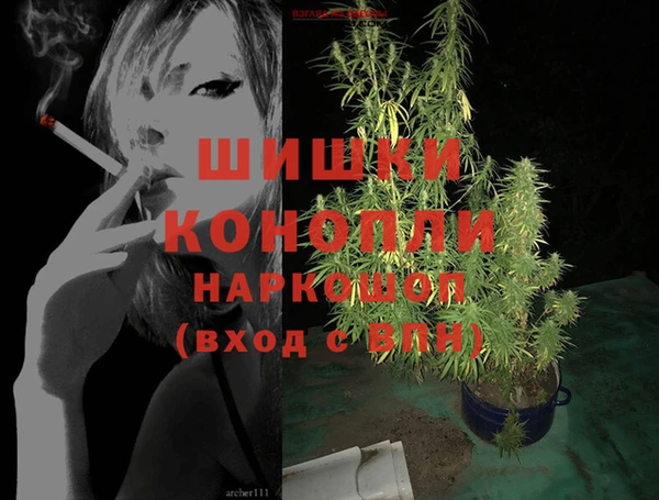 PSILOCYBIN Костерёво