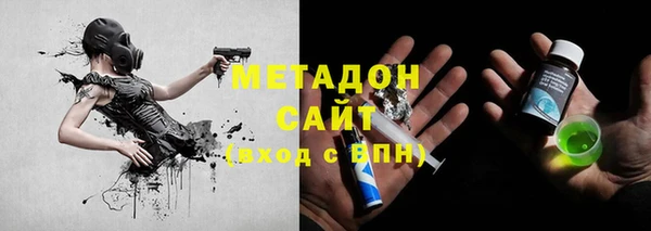 шишки Корсаков