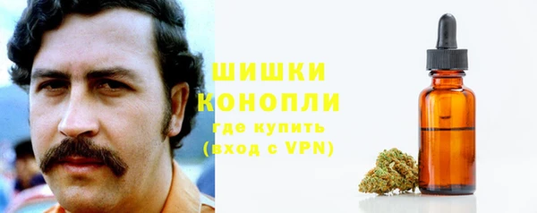 PSILOCYBIN Костерёво