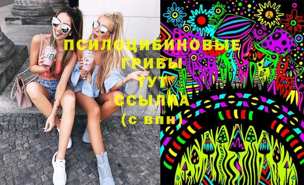 шишки Корсаков