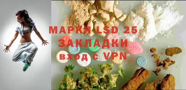шишки Корсаков