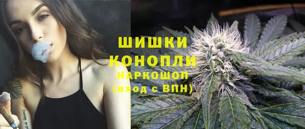 PSILOCYBIN Костерёво