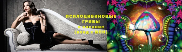 PSILOCYBIN Костерёво